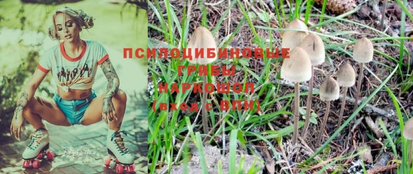 ALPHA PVP Алексин